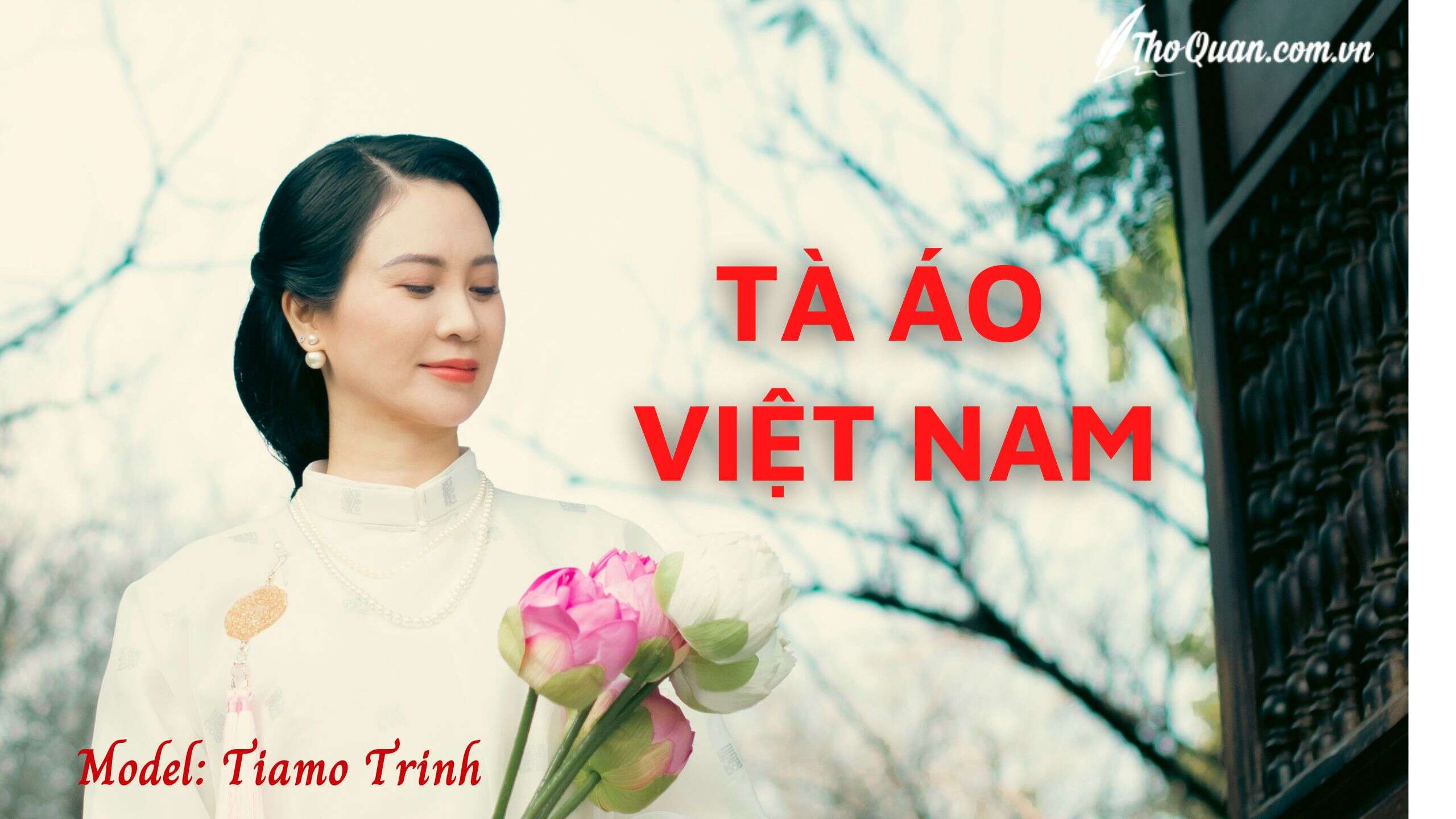 tà áo Việt nam